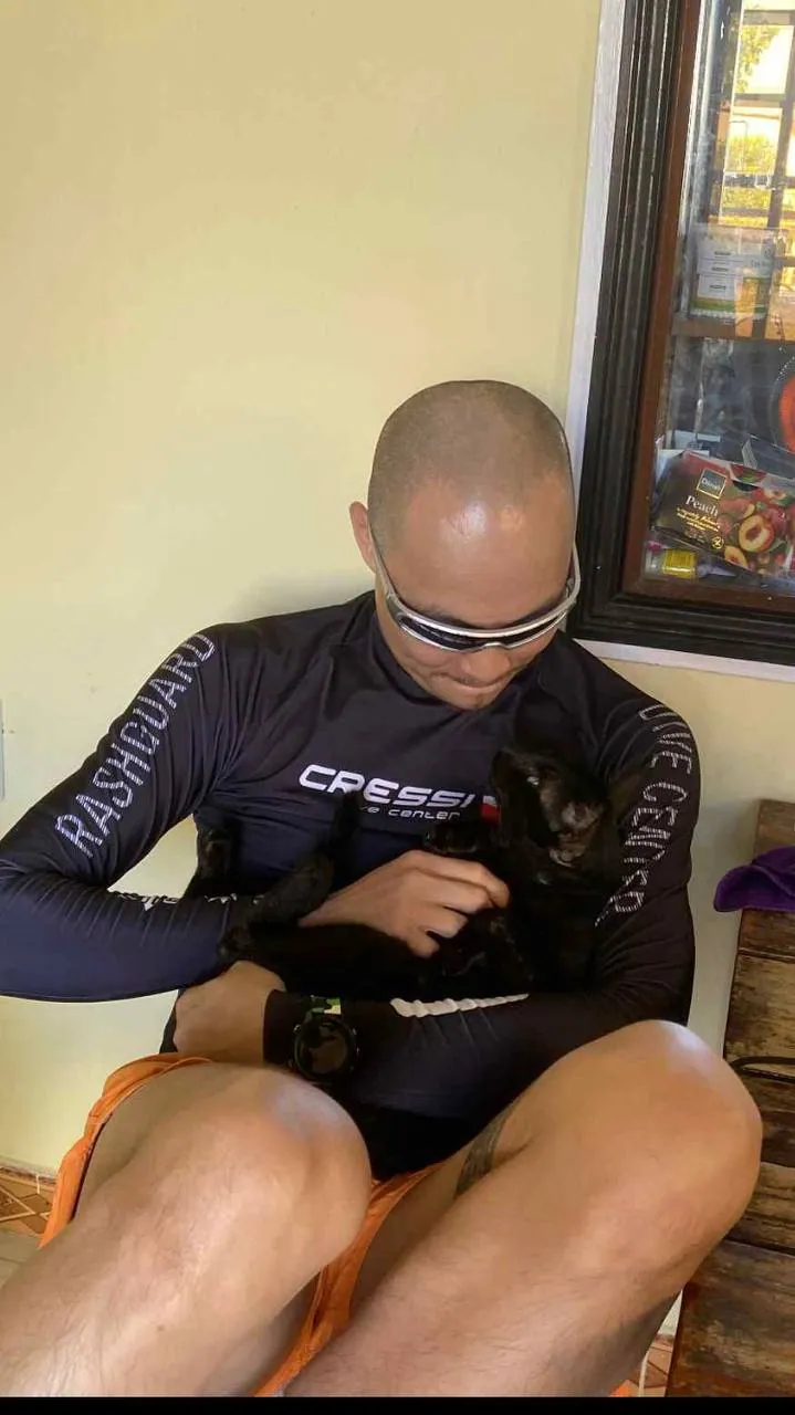 Ôm mèo — Kitten Hold