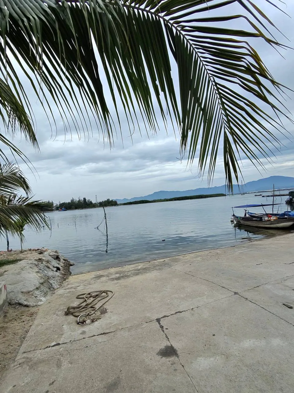 Bến cá — cọ dừa, nước lặng, thuyền nhỏ