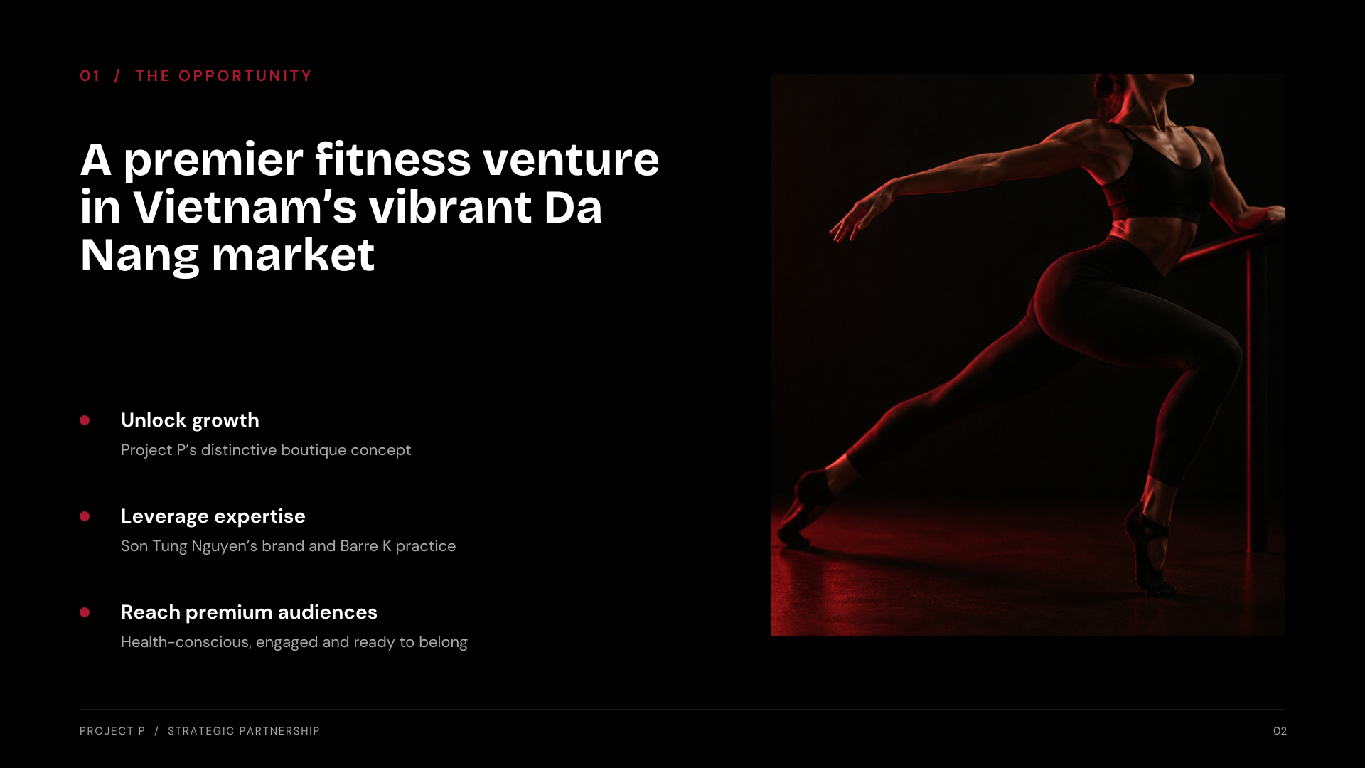 Project P — Slide 2
